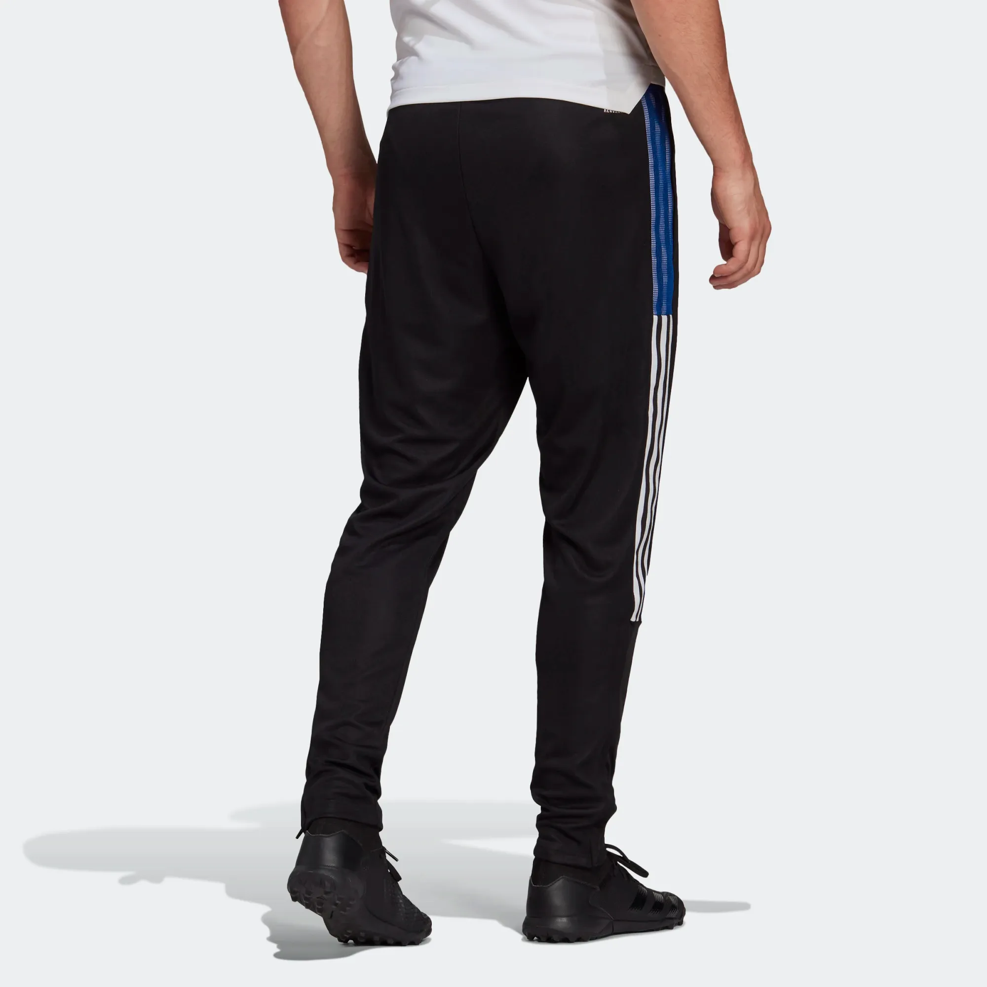 Adidas Men's Tiro 21 Track Pants - Black / Royal Blue