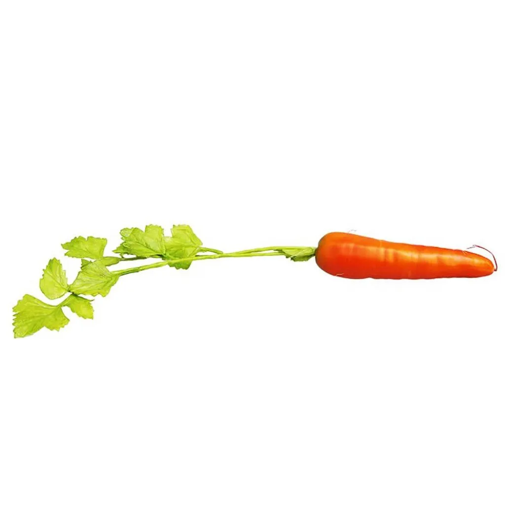 Carrot, Orange