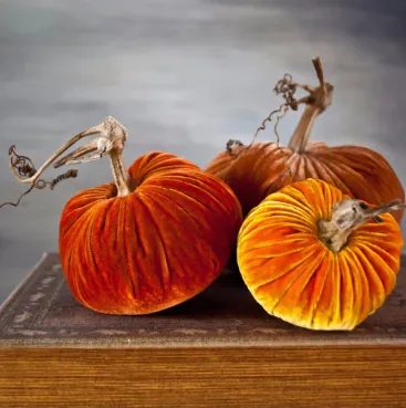 Carrot Plush Pumpkins