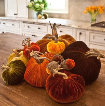 Carrot Plush Pumpkins