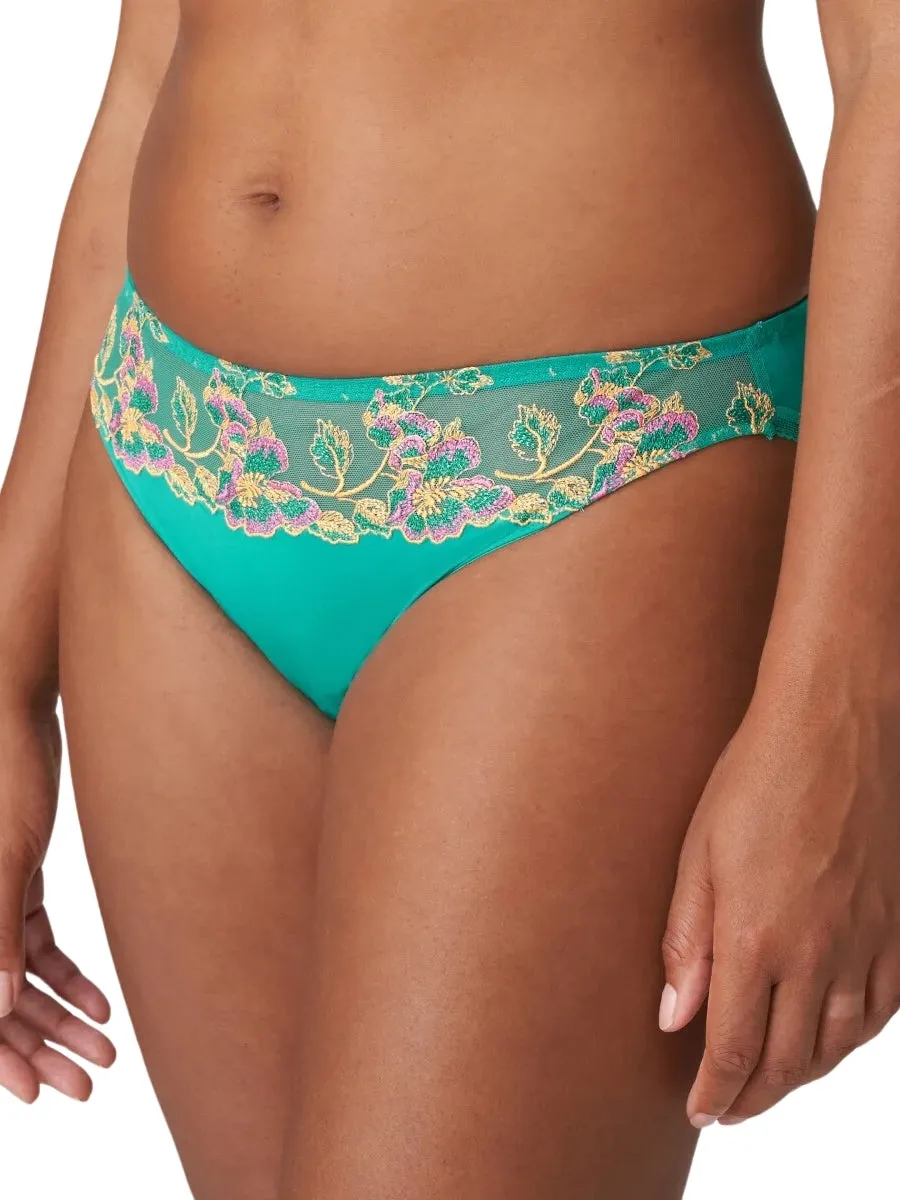 Lenca Rio Brief