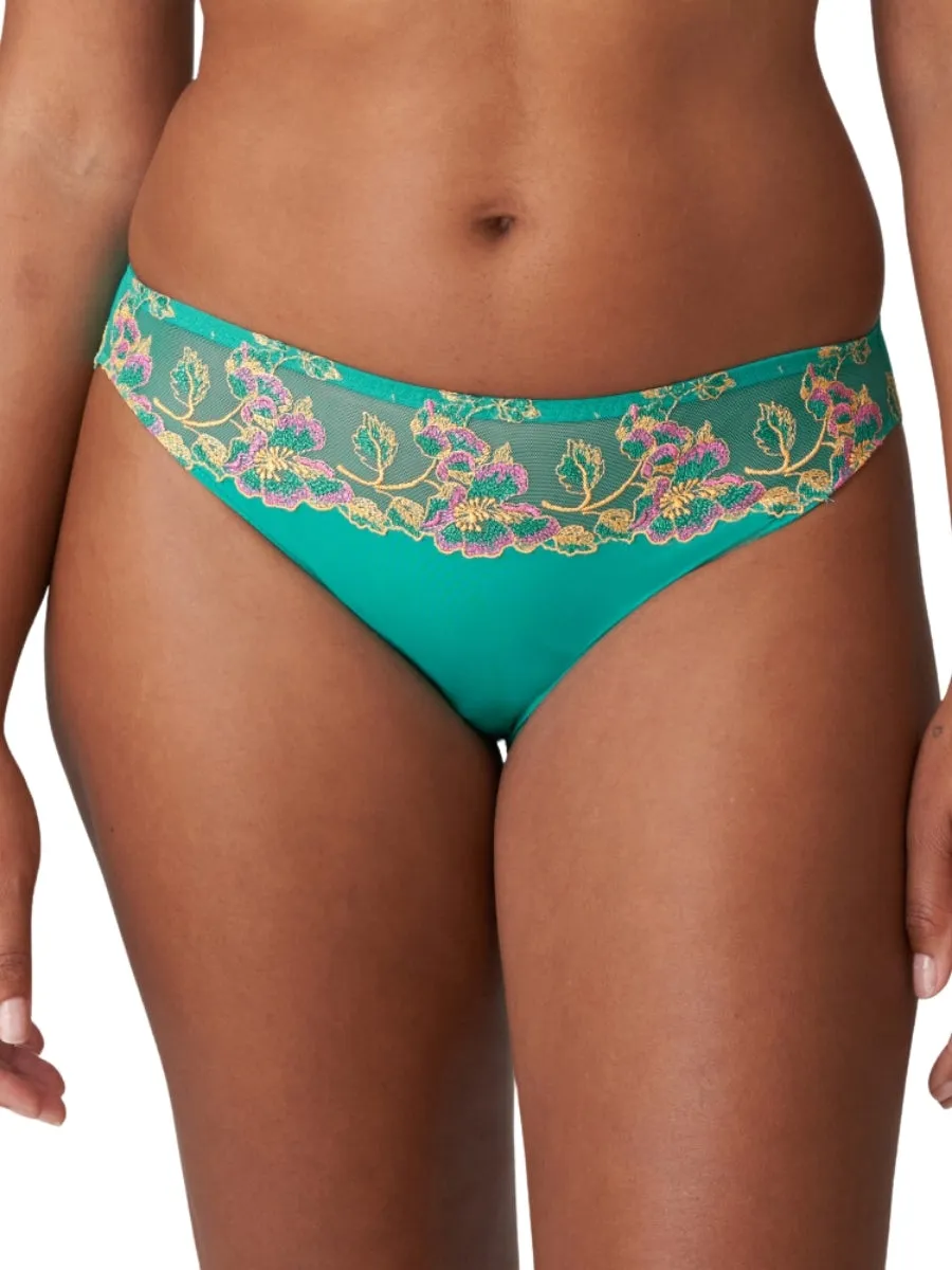 Lenca Rio Brief